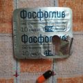 Фото к отзыву о Фосфоглив