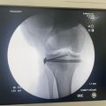 Фото к отзыву о Гнелица Николай Николаевич