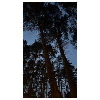 Сергей Зайцев