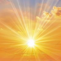 Светлана Николаевна