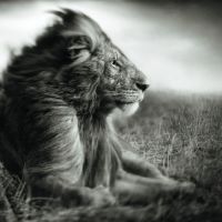 Драницин Игорь